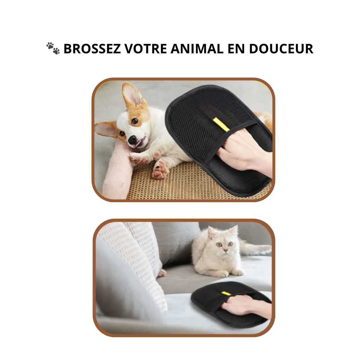 Gant Anti-Poils Statique - LePetitChat