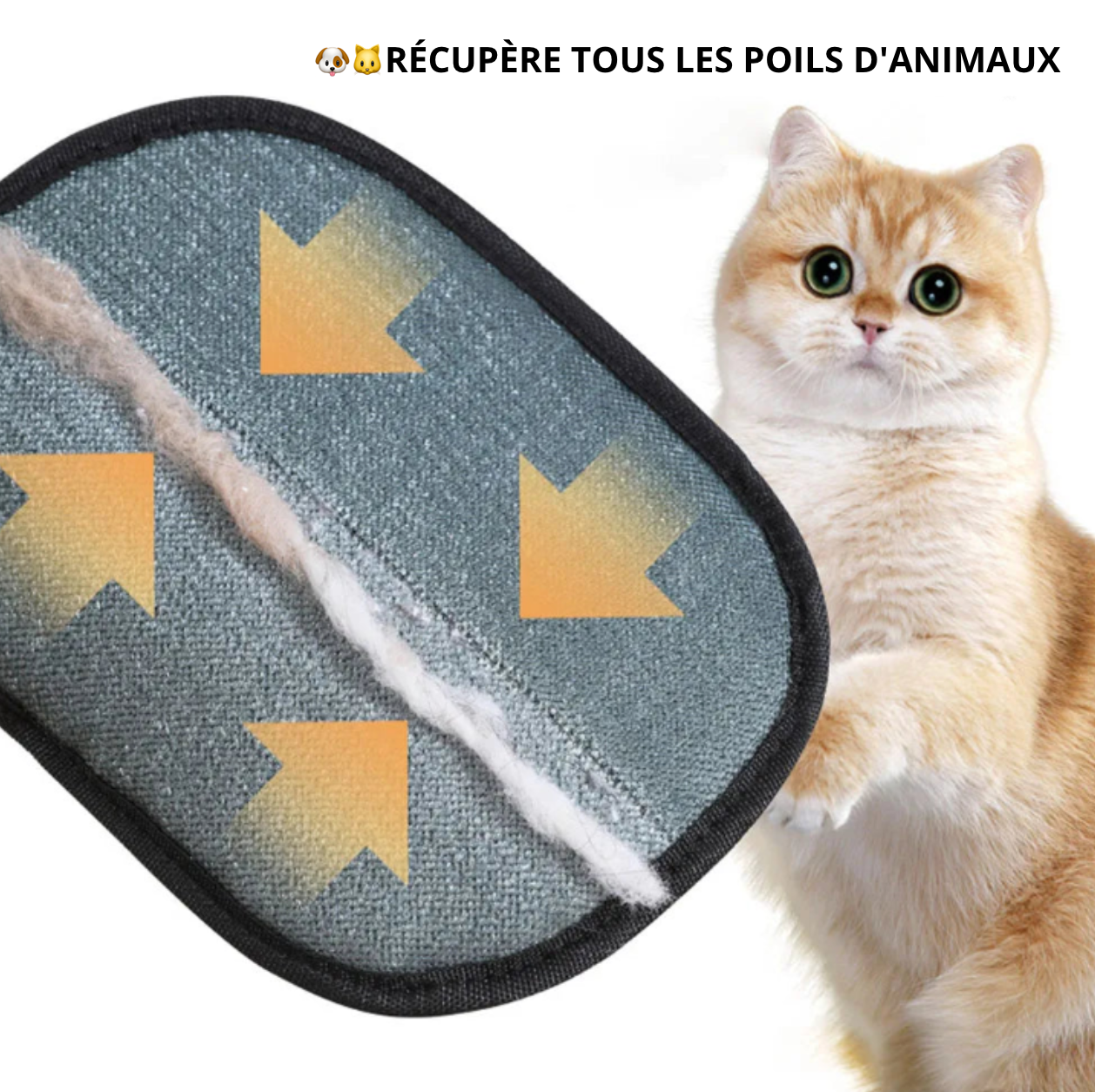 Gant Anti-Poils Statique - LePetitChat