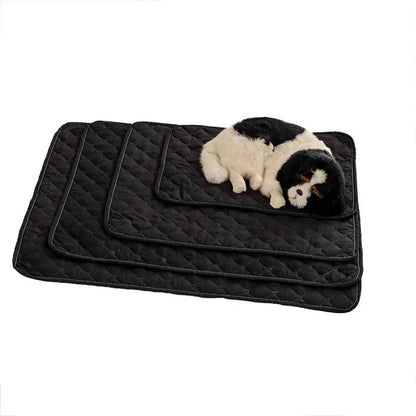 Tapis imperméable réutilisable - Protection canapé, lit et siège auto - LePetitChat