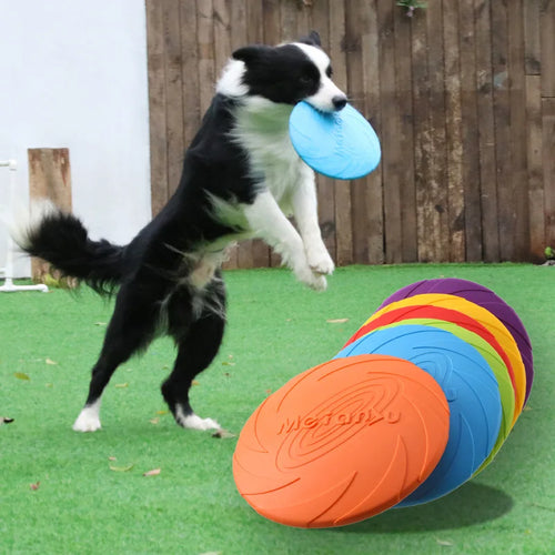 Frisbee Résistant à Mâchouiller - LePetitChat